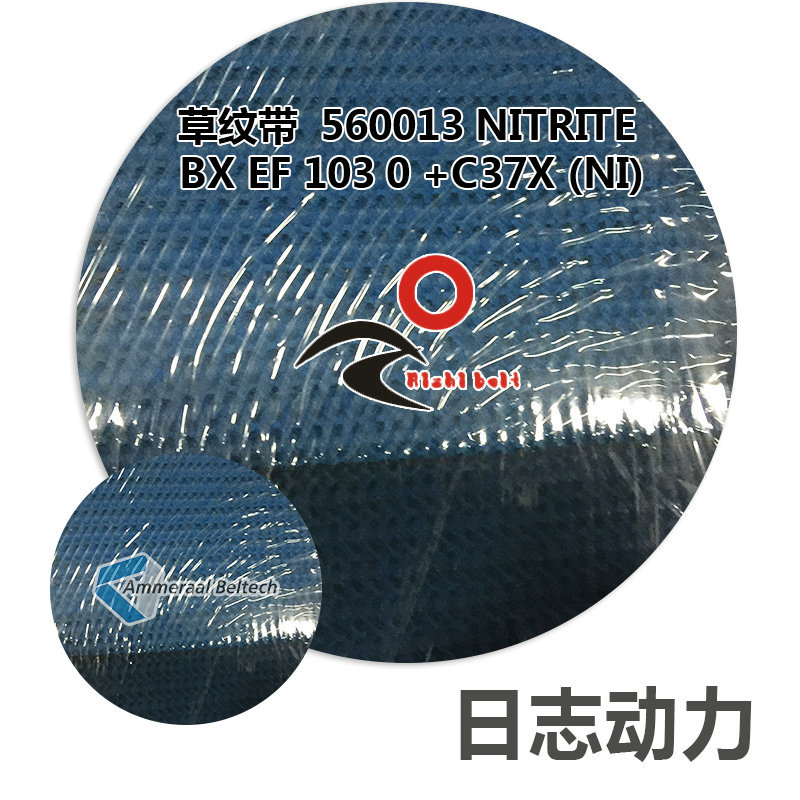 草紋帶 藍色 560013 Nitrite BX EF 10